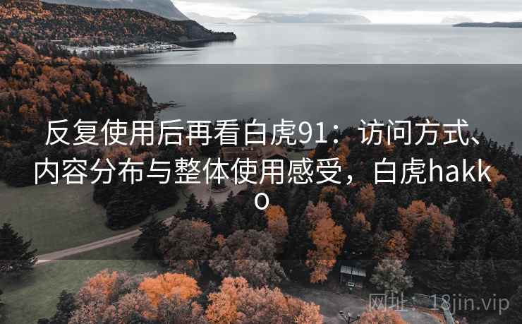 反复使用后再看白虎91：访问方式、内容分布与整体使用感受，白虎hakko