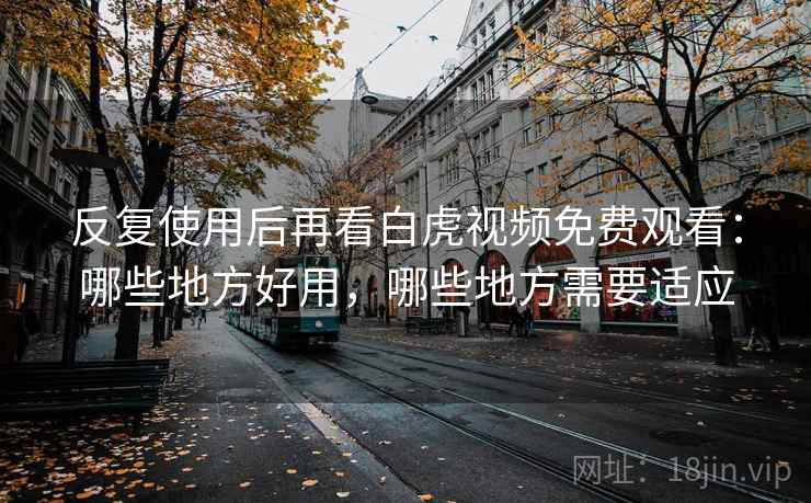 反复使用后再看白虎视频免费观看：哪些地方好用，哪些地方需要适应