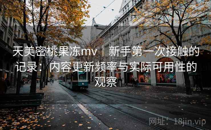 天美密桃果冻mv｜新手第一次接触的记录：内容更新频率与实际可用性的观察