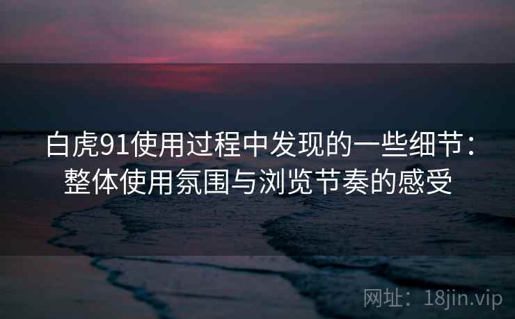 白虎91使用过程中发现的一些细节：整体使用氛围与浏览节奏的感受