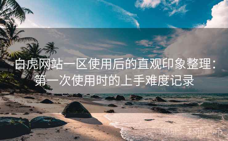 白虎网站一区使用后的直观印象整理：第一次使用时的上手难度记录