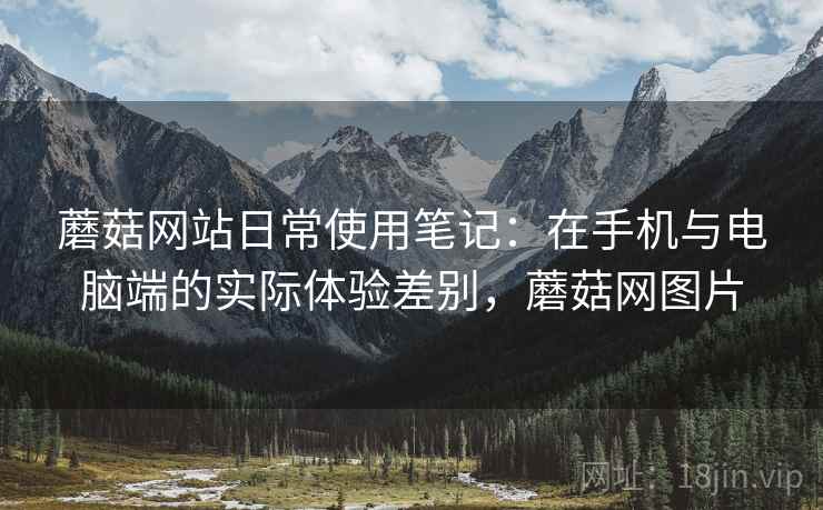 蘑菇网站日常使用笔记：在手机与电脑端的实际体验差别，蘑菇网图片