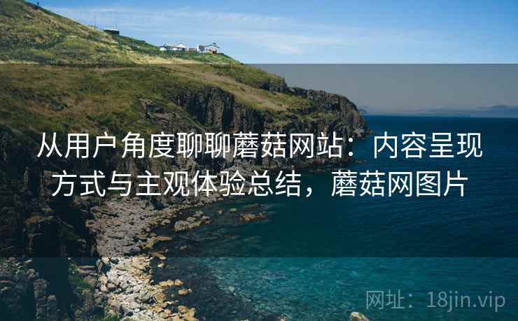 从用户角度聊聊蘑菇网站：内容呈现方式与主观体验总结，蘑菇网图片