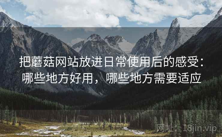 把蘑菇网站放进日常使用后的感受：哪些地方好用，哪些地方需要适应