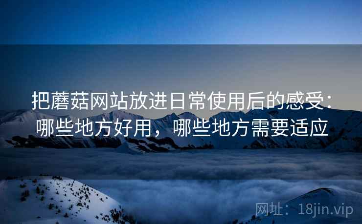 把蘑菇网站放进日常使用后的感受:哪些地方好用,哪些地方需要适应 把蘑菇网站放进日常使用后的感受:哪些地方好用,哪些地方需要适应