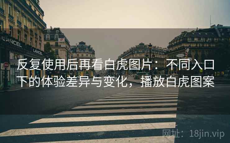 反复使用后再看白虎图片：不同入口下的体验差异与变化，播放白虎图案