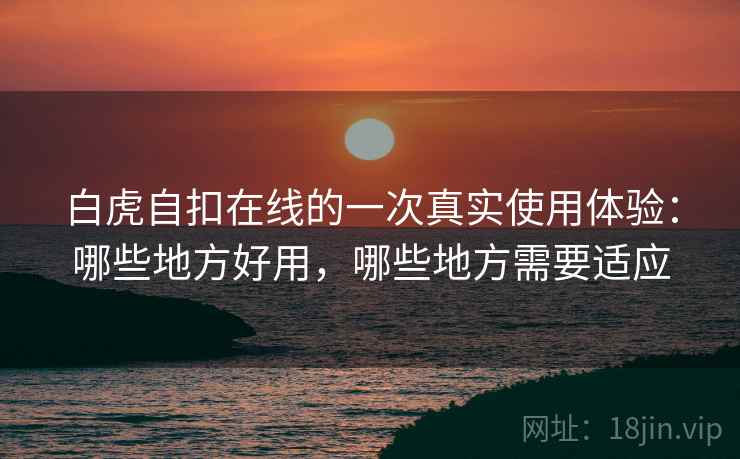 白虎自扣在线的一次真实使用体验：哪些地方好用，哪些地方需要适应
