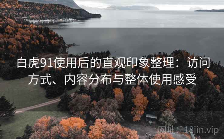白虎91使用后的直观印象整理：访问方式、内容分布与整体使用感受