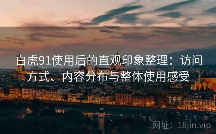 白虎91使用后的直观印象整理：访问方式、内容分布与整体使用感受