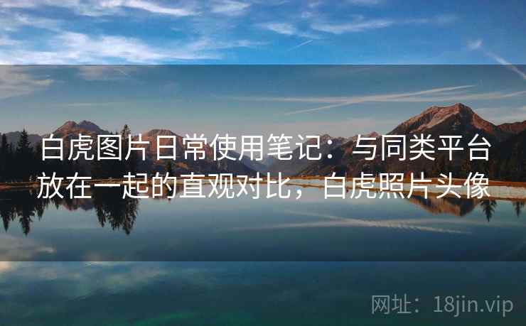 白虎图片日常使用笔记:与同类平台放在一起的直观对比,白虎照片头像 白虎图片日常使用笔记:与同类平台放在一起的直观对比,白虎照片头像