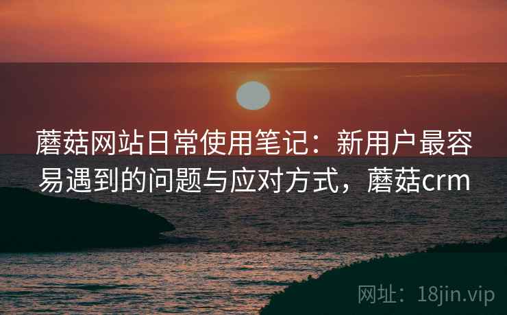 蘑菇网站日常使用笔记：新用户最容易遇到的问题与应对方式，蘑菇crm