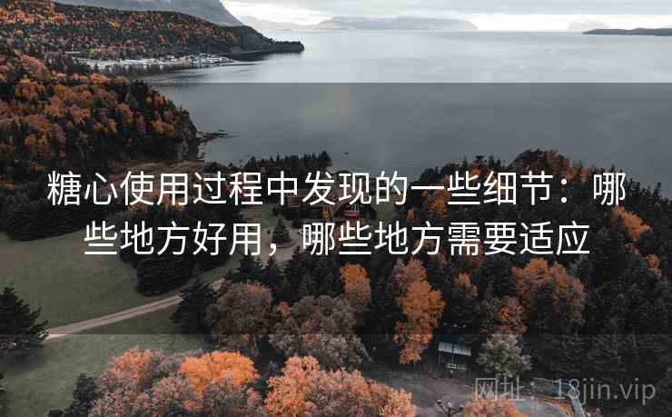 糖心使用过程中发现的一些细节:哪些地方好用,哪些地方需要适应 糖心使用过程中发现的一些细节:哪些地方好用,哪些地方需要适应