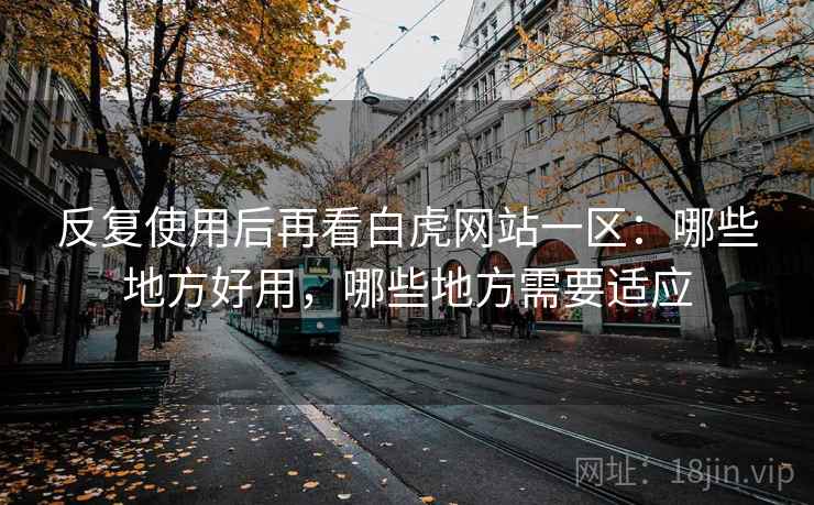 反复使用后再看白虎网站一区：哪些地方好用，哪些地方需要适应